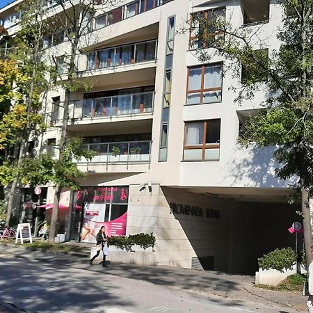 شقة Apartament Luxon 4 كيلتشي المظهر الخارجي الصورة